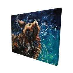 Wet golden retreiver shaking to dry