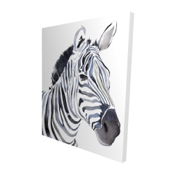 Watercolor zebra