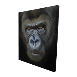 Visage de gorille