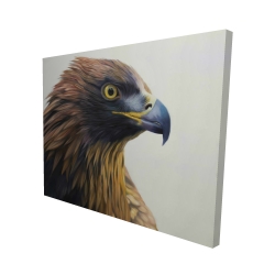 Brown-headed eagle