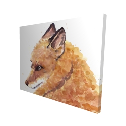 Renard