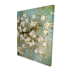 White cherry blossom