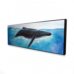 Baleine bleue