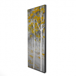 Birch forest