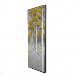Yellow birch forest