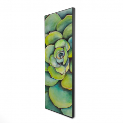 Succulent à l'aquarelle