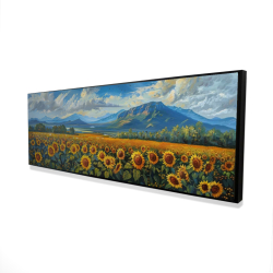 Sunflower field