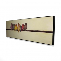 Famille d'oiseaux
