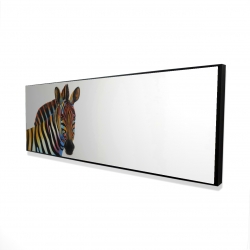 Colorful profile view of a zebra