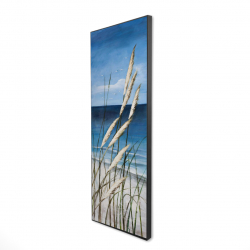 Plante oyat dans le vent sur la plage