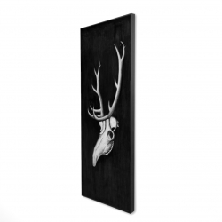 Deer skull in the dark