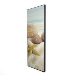 Vue d'une étoile de mer et de coquillages sur la plage