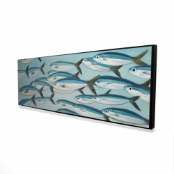 Small fish of caesio caerulaurea