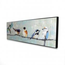 Petits oiseaux colorés