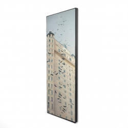 Birds flying in front of a building