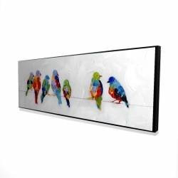 Oiseaux colorés sur des fils