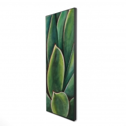 Plante d'agave à l'aquarelle