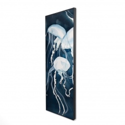 Meduses