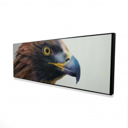 Brown-headed eagle