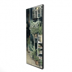 Plants shop