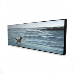 Dog on the beach