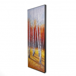 Paysage de forêt d'automne