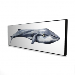 Baleine en aquarelle