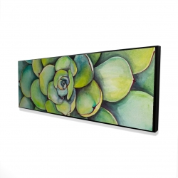 Succulent à l'aquarelle