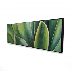 Plante d'agave à l'aquarelle