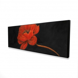 Red petal flower