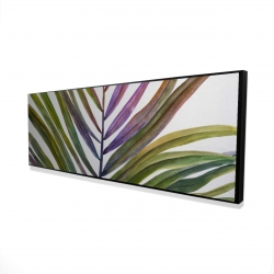 Feuille de palmier tropical