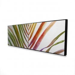 Feuille de palmier tropical