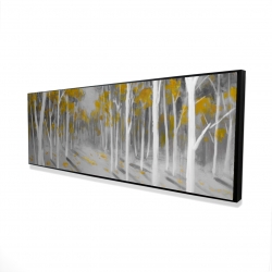 Yellow birch forest