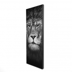 Lion portrait