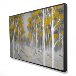 Yellow birch forest