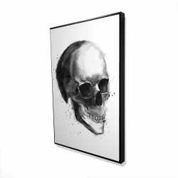 Crâne noir et blanc