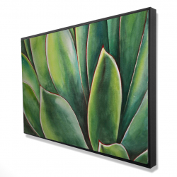Plante d'agave à l'aquarelle