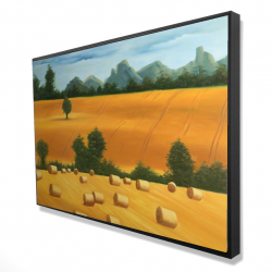 Hay bale fields