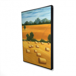 Hay bale fields