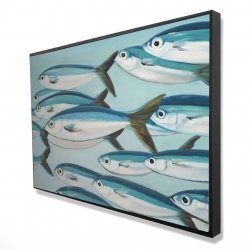 Small fish of caesio caerulaurea