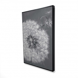 Blowing dandelion
