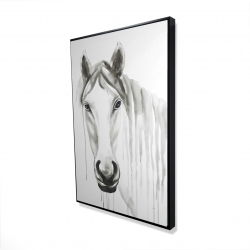 Solitary white horse