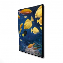 Fish under the sea