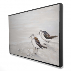 Deux oiseaux bécasseau