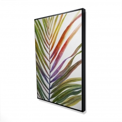 Feuille de palmier tropical