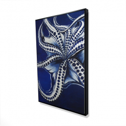 Dancing octopus