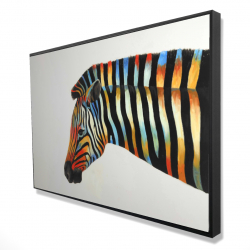Colorful zebra