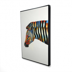 Colorful zebra