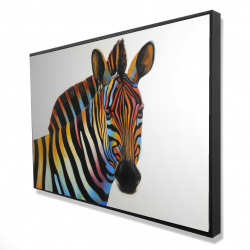 Colorful profile view of a zebra