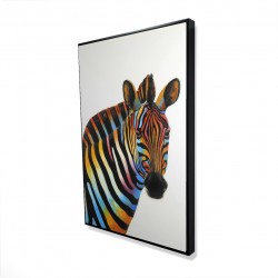 Colorful profile view of a zebra